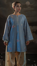 Fiza Embroidered Set