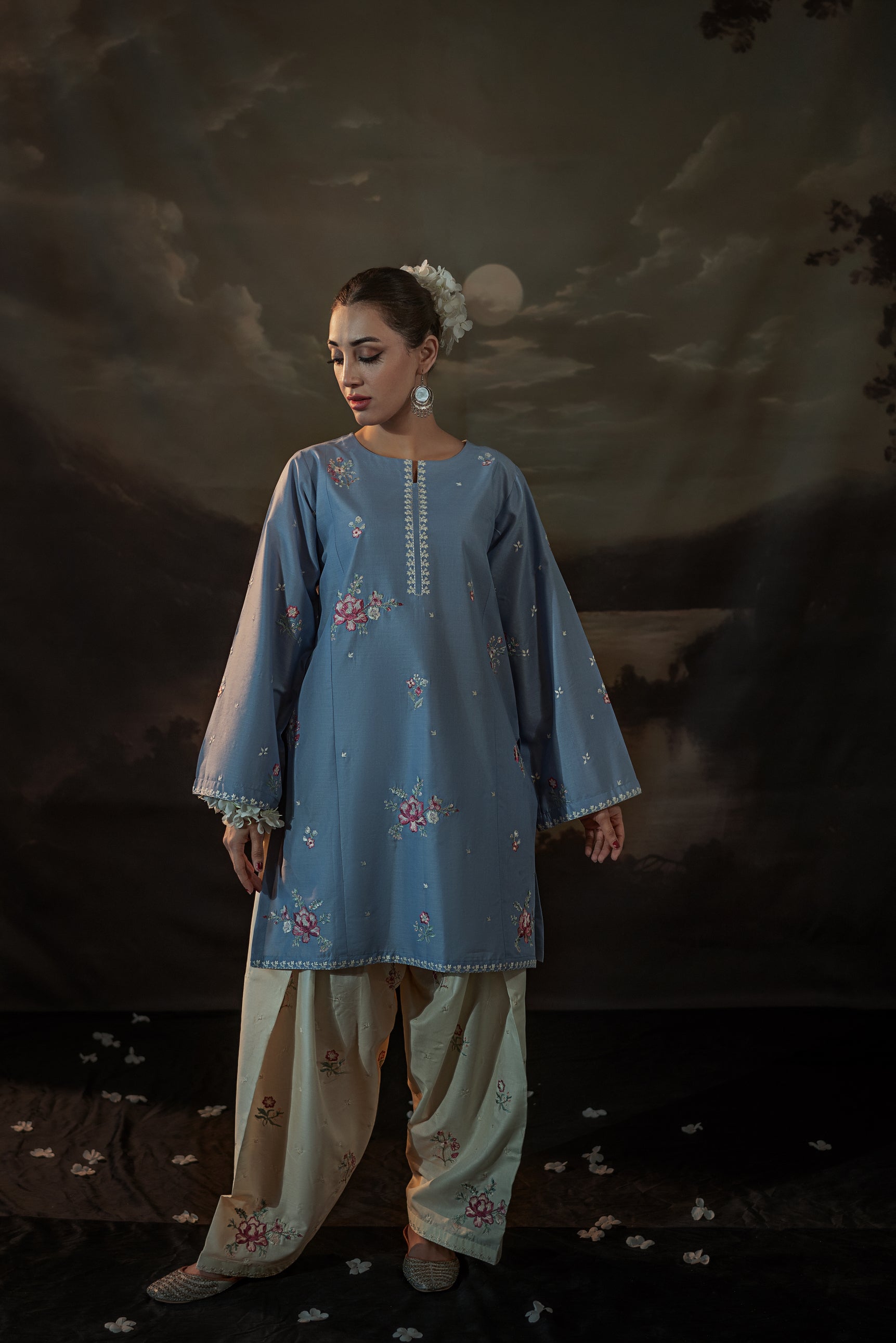 Fiza Embroidered Set